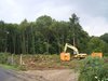 Bild zur Meldung Waldrodung am Mühlenhof - Neues Bauprojekt am Altenheim?