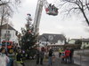 Weihnachtsbaum-2012-000