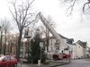 Weihnachtsbaum-2012-009