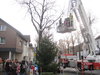 Weihnachtsbaum-2012-017